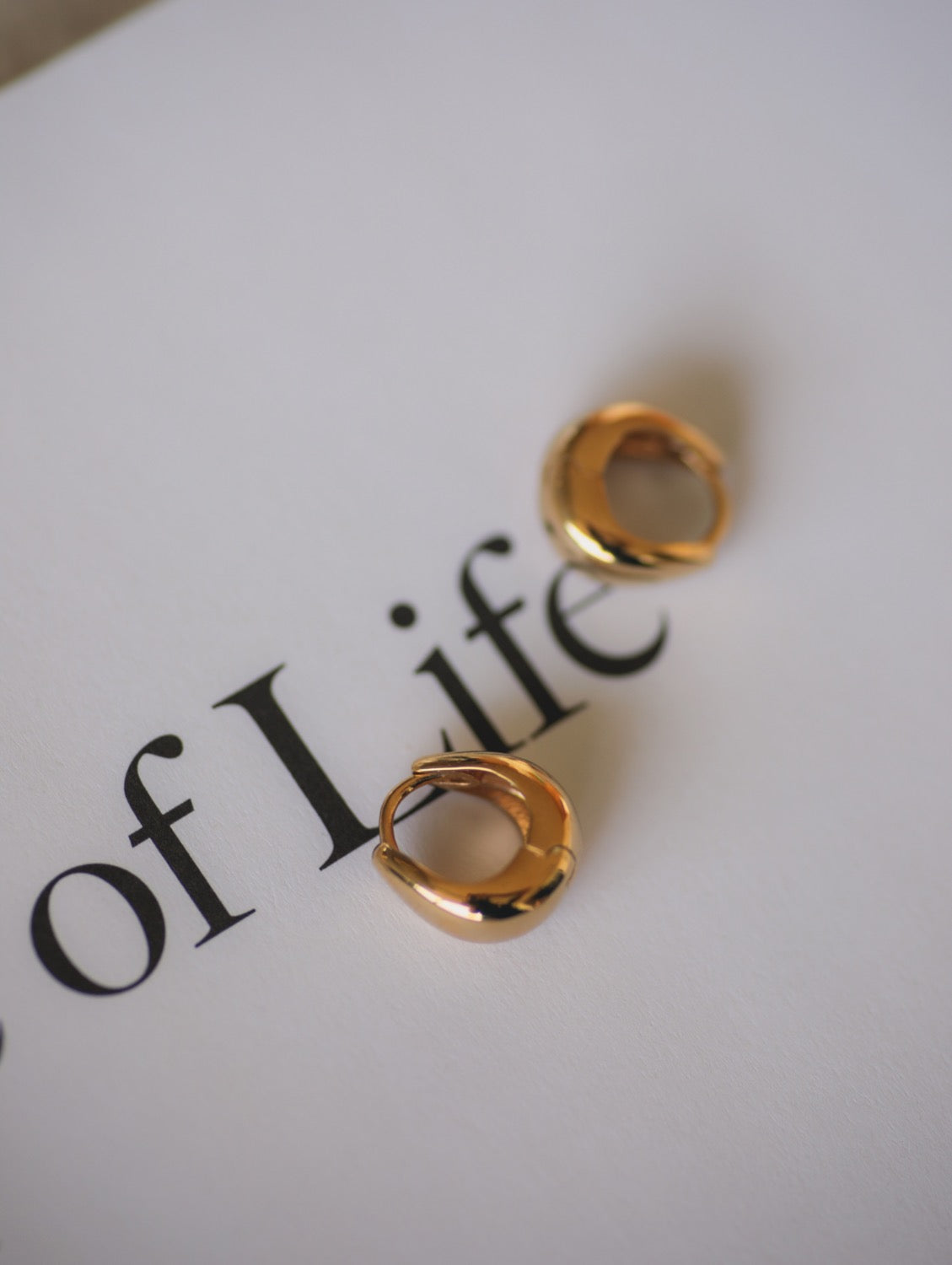 the Everyday Dome Hoop Earrings